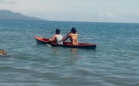 Dolphin View Beach House 2*